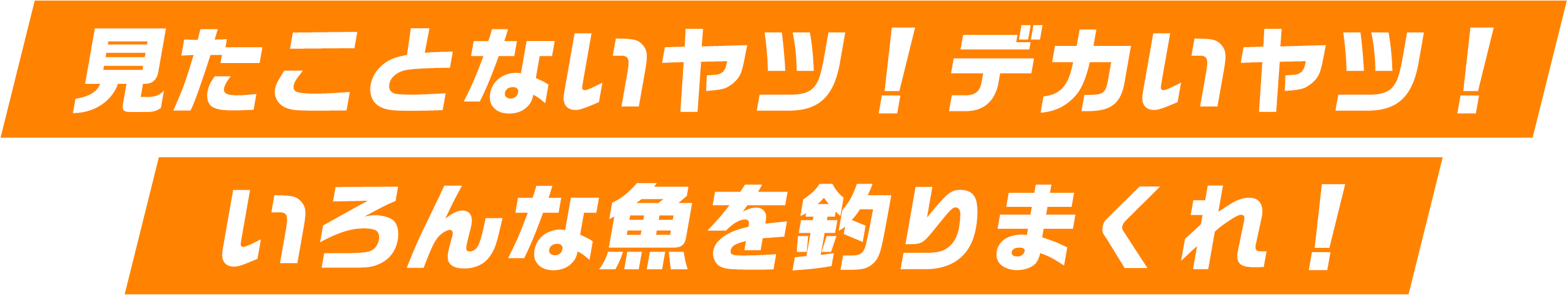 見たことないヤツ！デカいヤツ！いろんな魚を釣りまくれ！