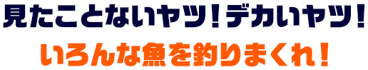 見たことないヤツ！デカいヤツ！いろんな魚を釣りまくれ！