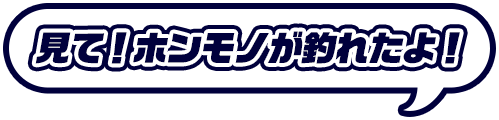 見て！ホンモノが釣れたよ！